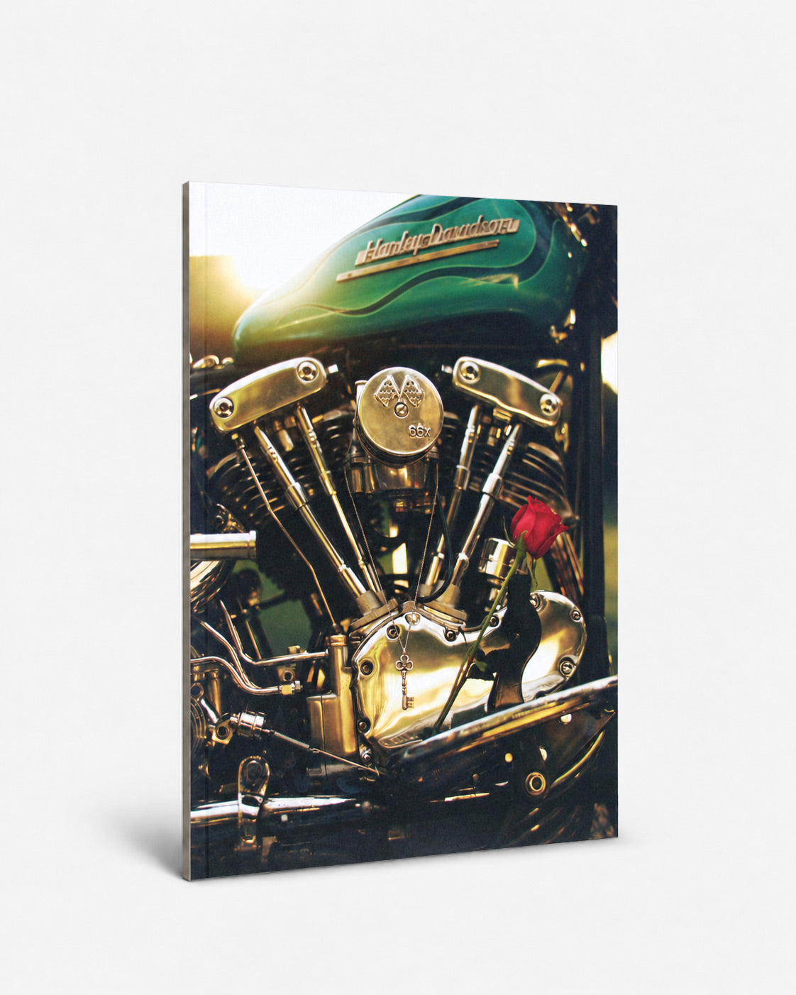 DicE Magazine Issue 72